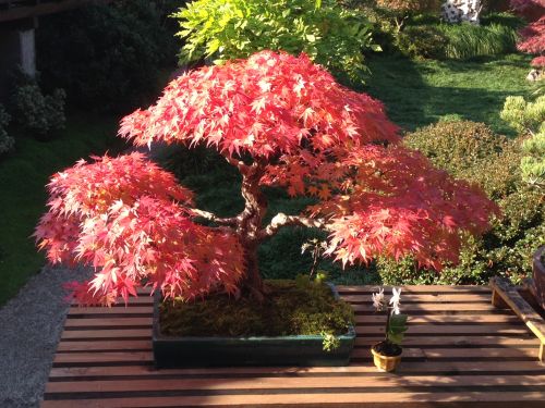 Cabinet de Bien-être, Uschi Weder Pautigny