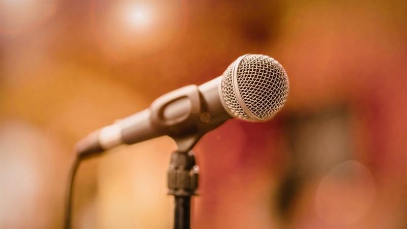 Concert : Lionel chante Johnny