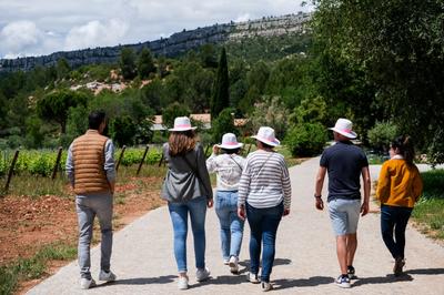 Château de la Galinière - Vineyards and wine immersion
