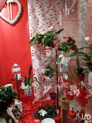 Local commercial - 35 m²