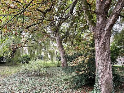 Maison - 165 m² - 5 pièces