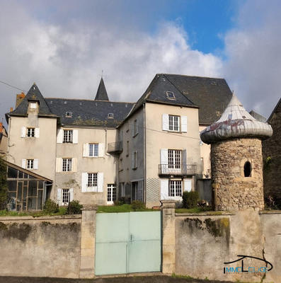 Maison ancienne - 456 m² - 9 pièces