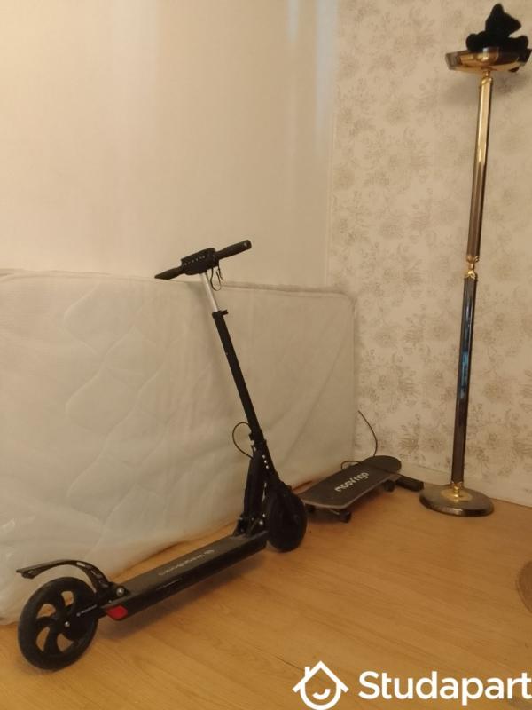 Chambre - 10 m² - 1 pièce