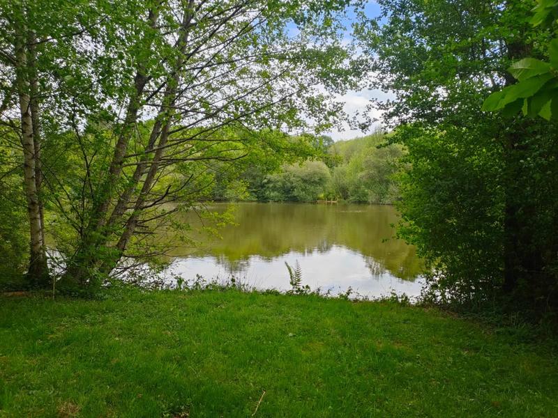 Terrain - 14 125 m²