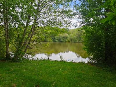 Terrain - 14 125 m²