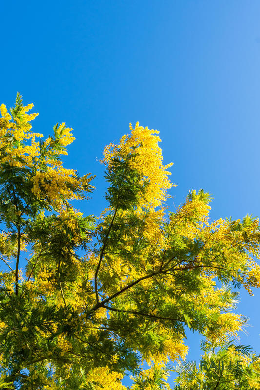 Maison - 155 m² - 5 pièces