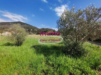 Terrain constructible - 1 097 m²