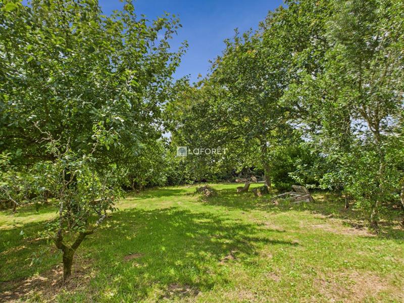 Maison de campagne - 124 m² - 7 pièces