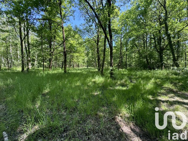 Terrain - 10 000 m²