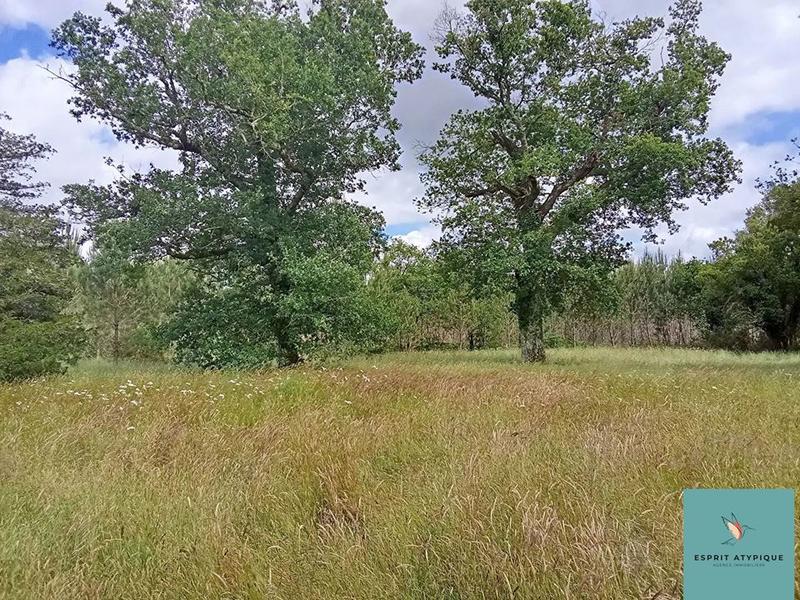 Maison traditionnelle - 195 m² - 11 pièces