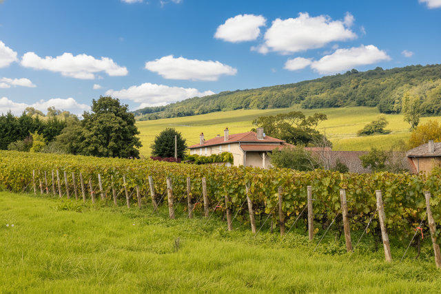 Maison - 320 m² - 7 pièces