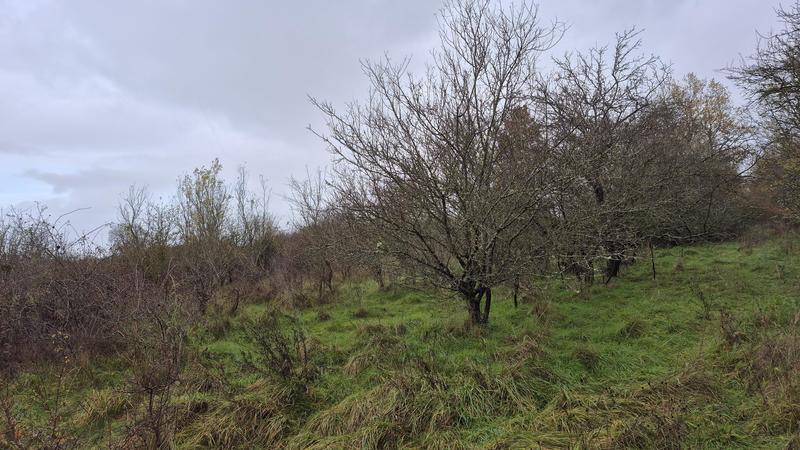 Ferme - 200 m² - 6 pièces