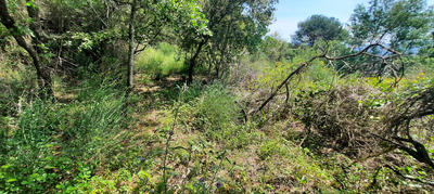 Terrain de loisirs - 17 646 m²