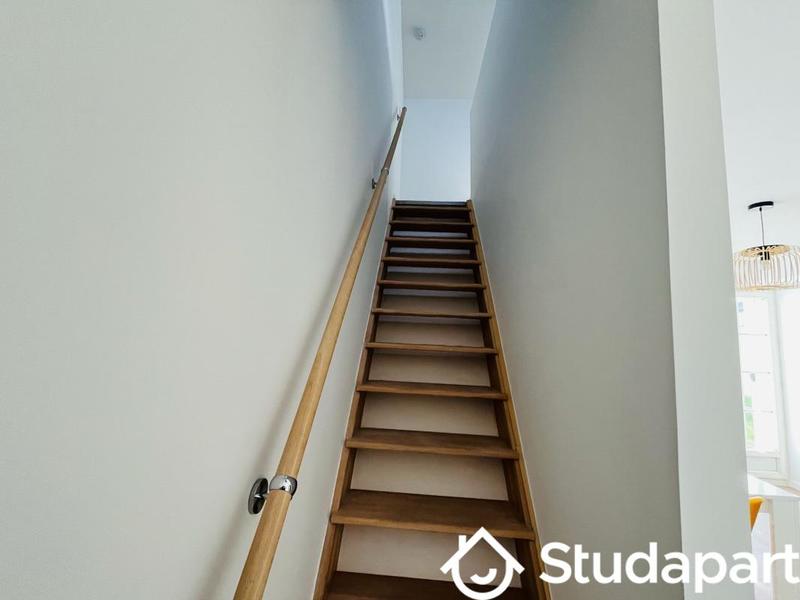 Chambre - 50 m² - 1 pièce