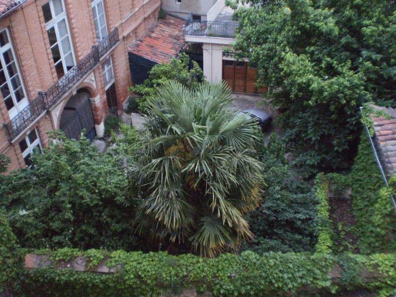 Appartement - 56 m² - 2 pièces