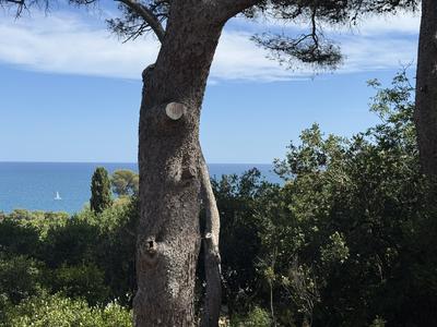 Maison - 184 m² - 4 pièces