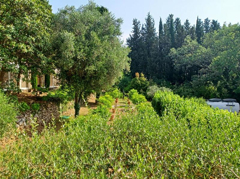 Maison - 300 m² - 12 pièces