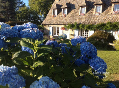 Propriété - 265 m² - 11 pièces