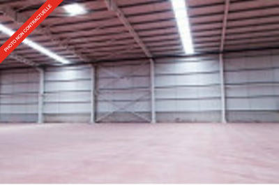 Local d'activité / Entrepôt - 290 m²