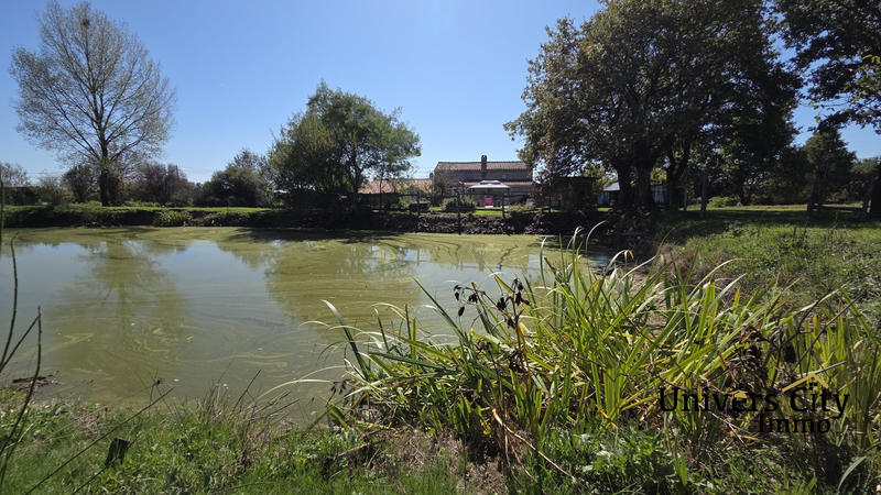 Maison - 170 m² - 5 pièces