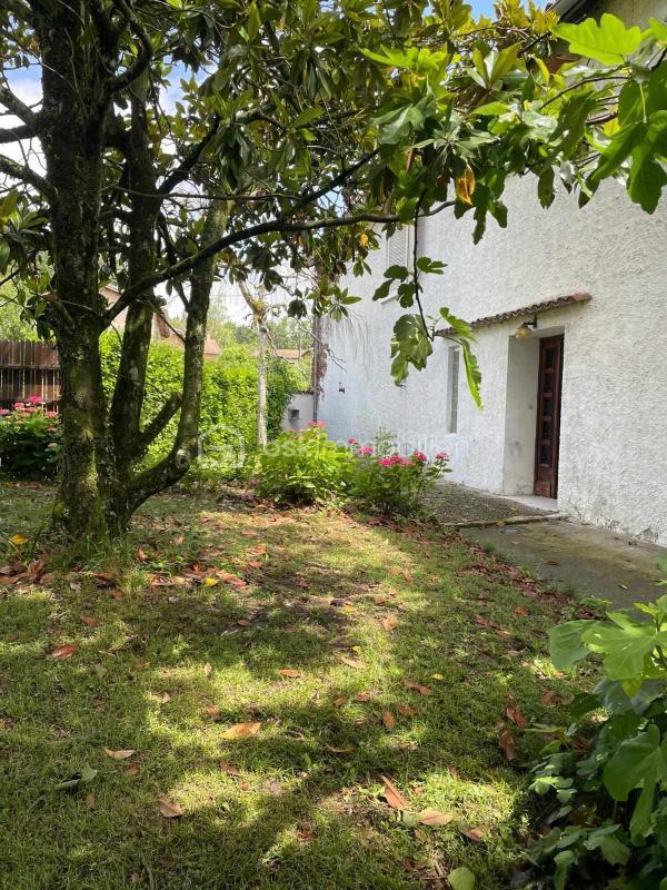 Maison ancienne - 231 m² - 7 pièces