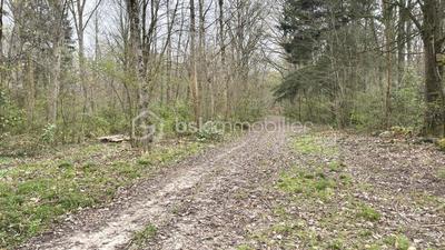 Terrain de loisirs - 96 594 m²