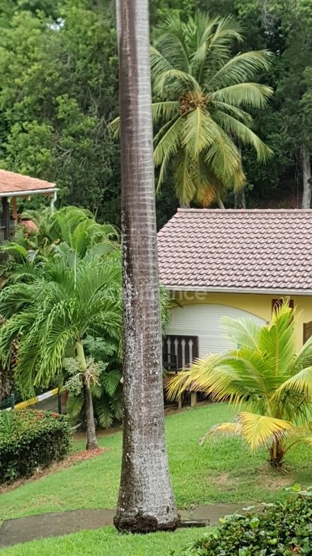 Appartement - 23 m² - 1 pièce