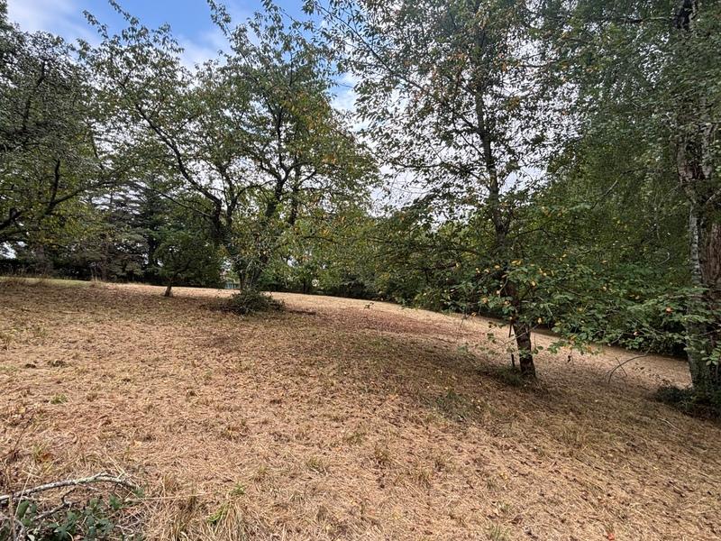 Terrain constructible - 2 247 m²