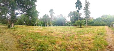 Terrain constructible - 1 564 m²