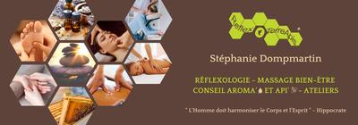 ReflexoTerreApis - Stéphanie Dompmartin