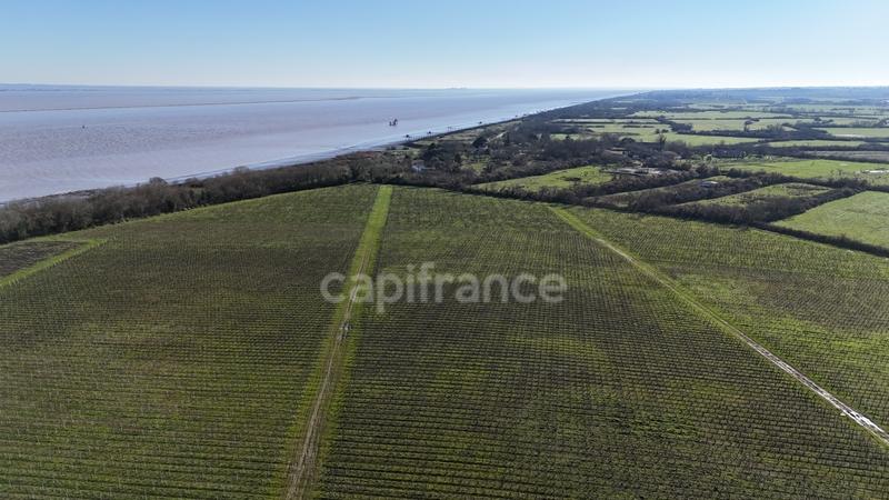 Propriété - 1 357 m² - 12 pièces