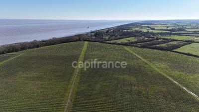 Propriété - 1 357 m² - 12 pièces