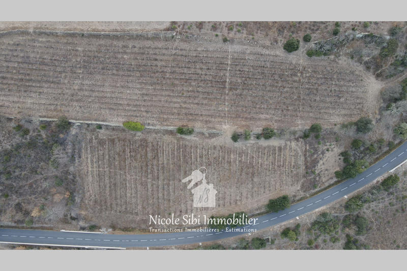 Terrain agricole - 11 940 m²