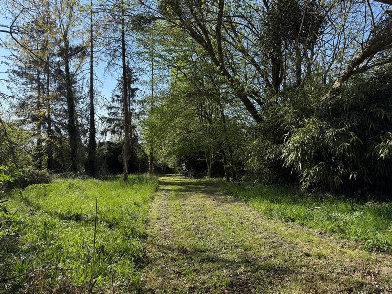 Maison - 147 m² - 5 pièces