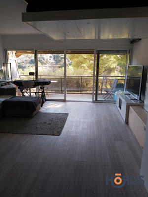 Viager - Appartement - 35 m² - 1 pièce