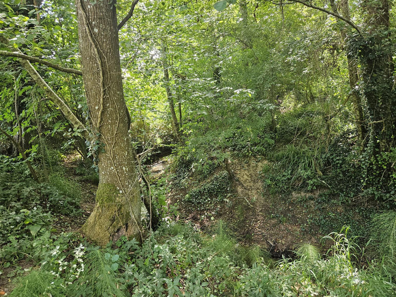 Terrain - 46 160 m²