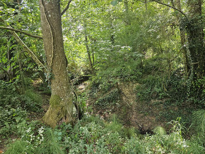 Terrain - 46 160 m²