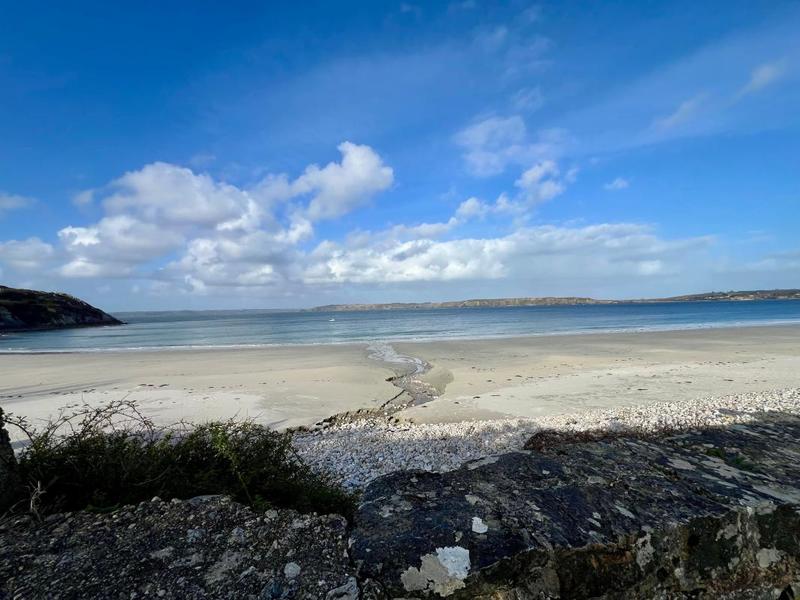 Duplex - 44 m² - 3 pièces