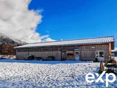 Entrepôt - 550 m² - 3 pièces