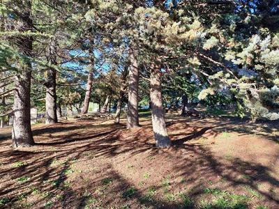 Terrain constructible - 1 800 m²