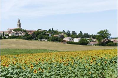 Terrain constructible - 432 m²