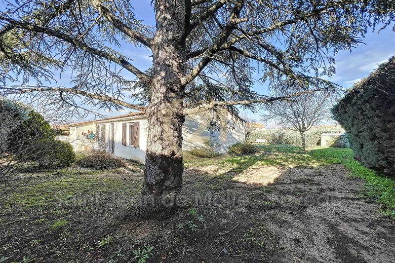 Maison - 75 m² - 3 pièces