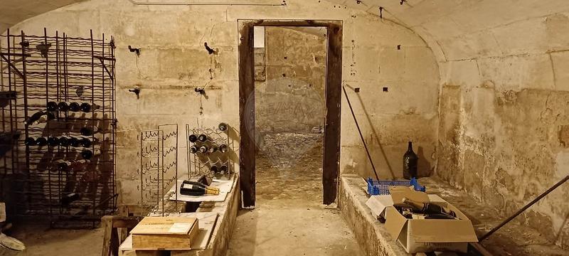 Maison de maîtres - 395 m² - 12 pièces