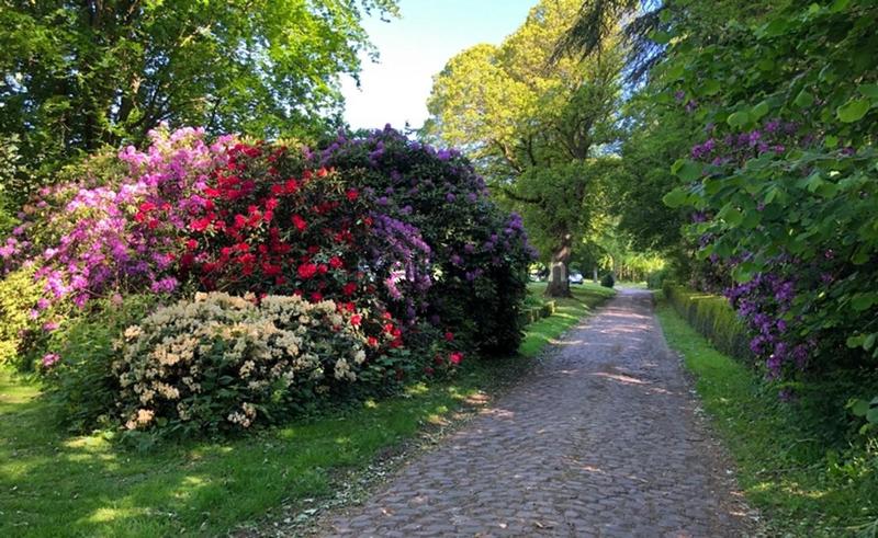 Château - 1 250 m² - 30 pièces