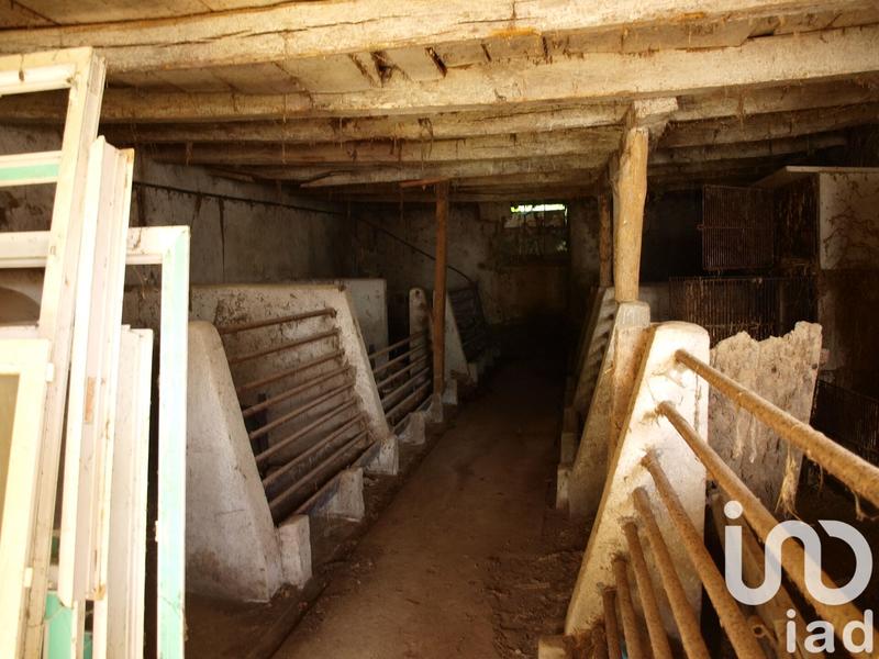 Maison - 400 m² - 4 pièces