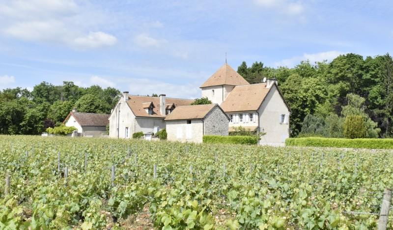 Maison - 360 m² - 10 pièces