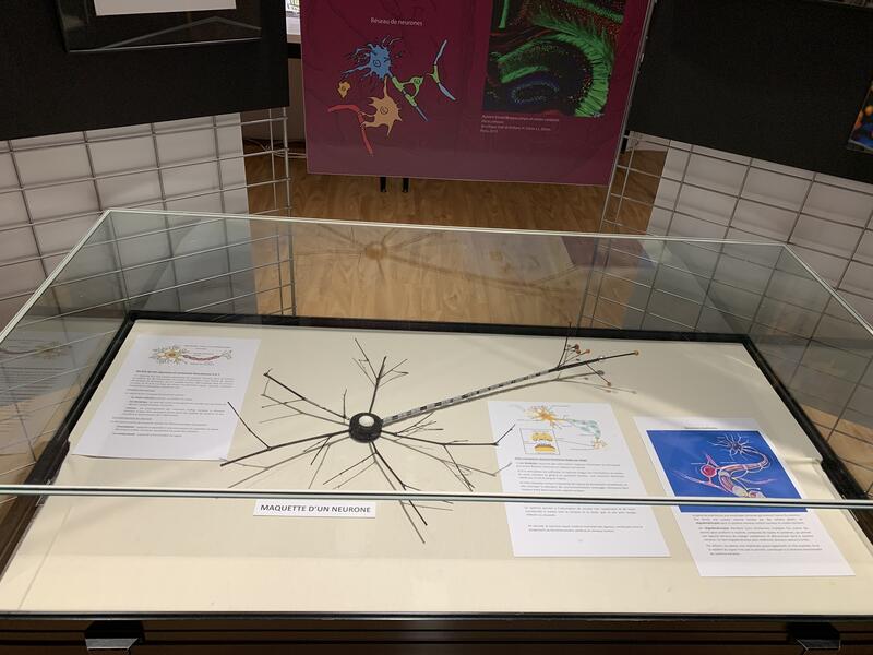 Atelier créatif enfants  - les neurones