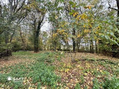 Maison - 280 m² - 11 pièces