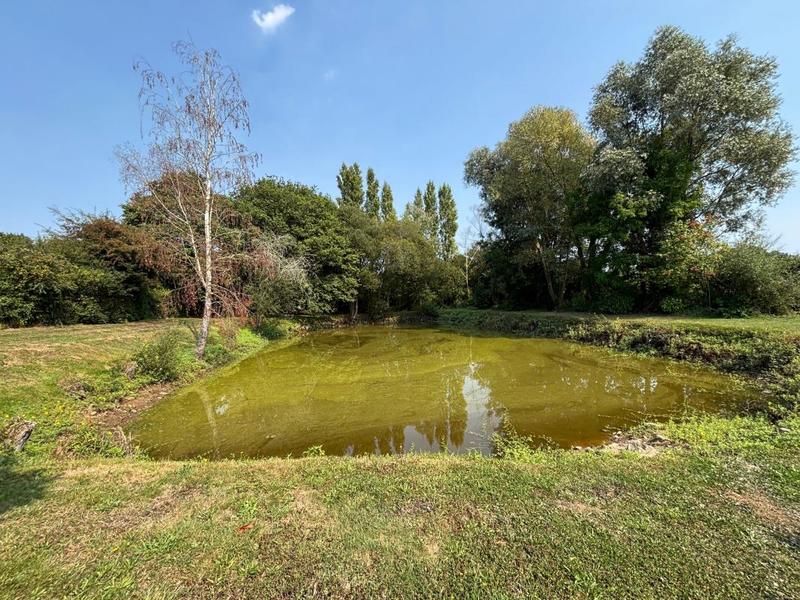 Maison - 146 m² - 5 pièces