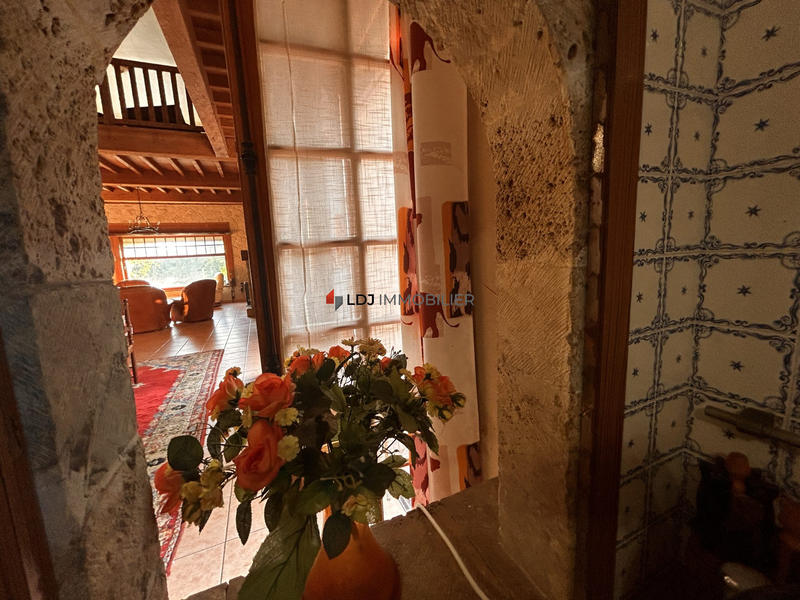 Château - 481 m² - 10 pièces